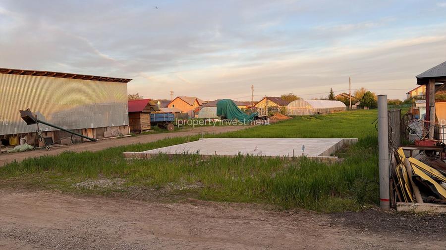 Teren Moara Vlasiei Intravilan 2 Parcele Padure - 5