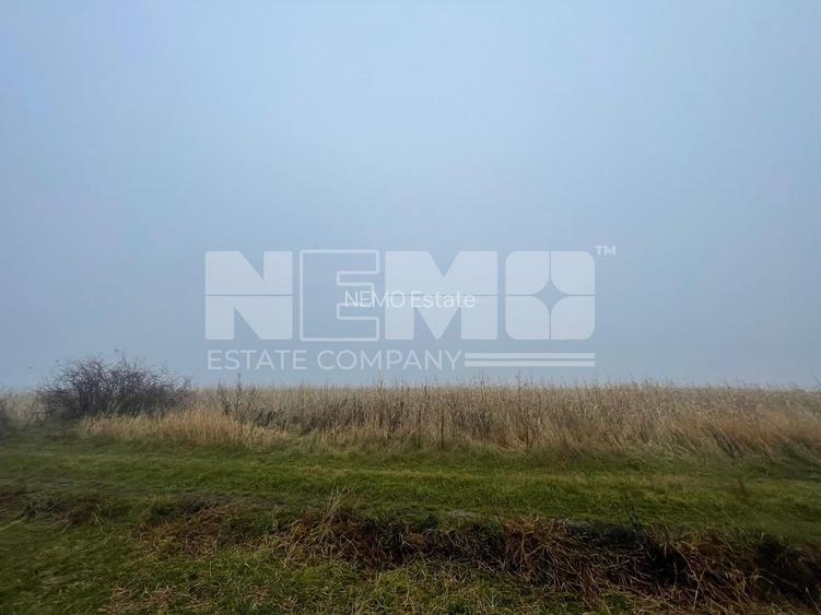 TEREN EXTRAVILAN | DOUA PARCELE 2.84 HA| DARMANESTI - 9