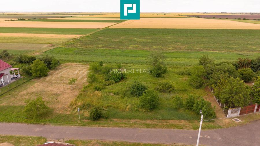 Teren intravilan de 596mp în Cicir, Vladimirescu - 3