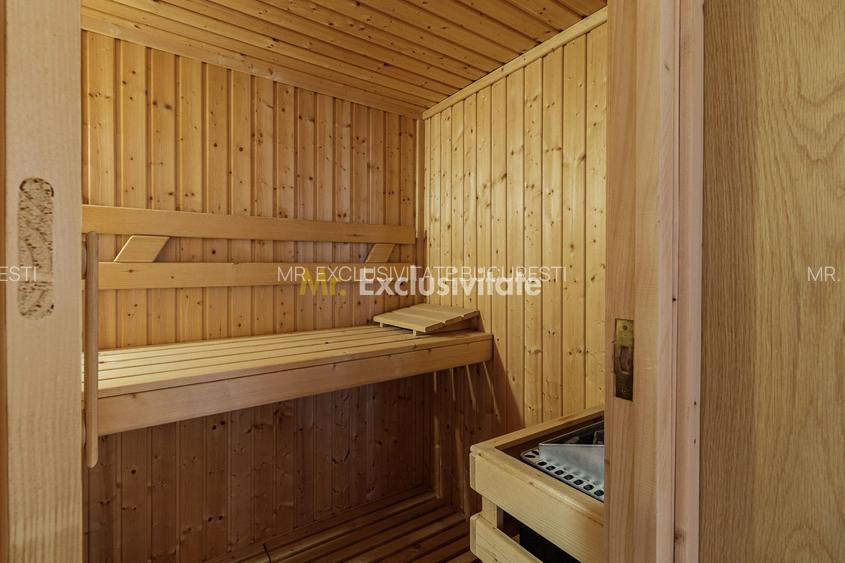 Domeniu privat 5.000 mp, cu reședință de 625 mp și piscină, Corbeanca - 13