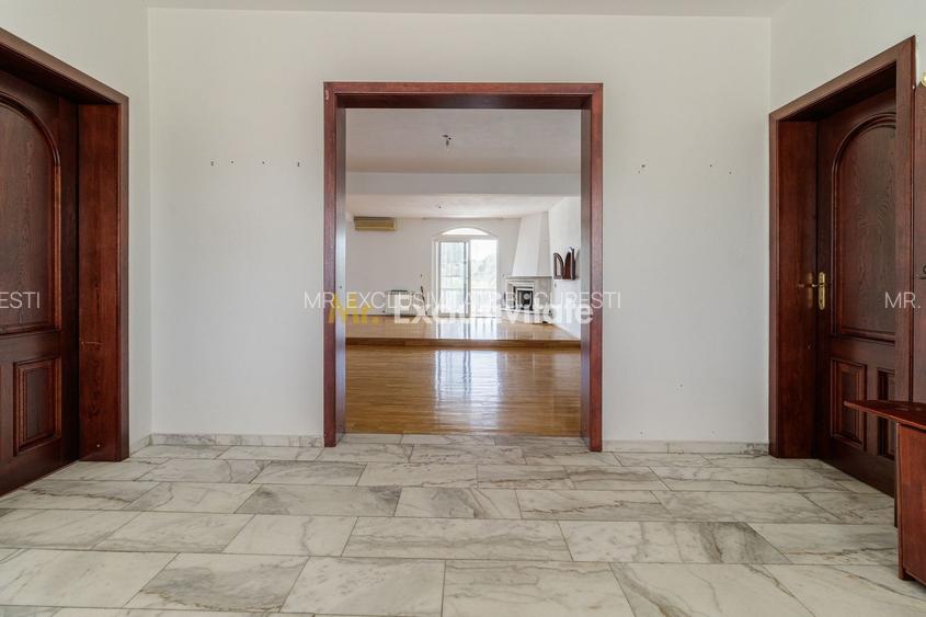 Domeniu privat 5.000 mp, cu reședință de 625 mp și piscină, Corbeanca - 26