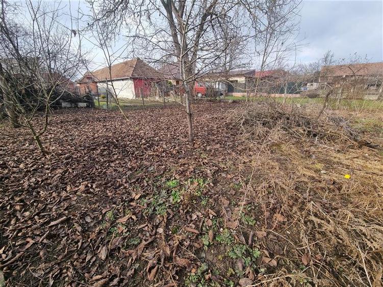 De inchiriat casa 4 cam,2 bai  , sancrai, Mures