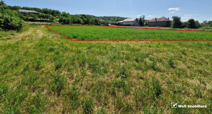 Teren intravilan 2000 mp – Popesti (Baciu) Ideal pentru casă, grădină și livada