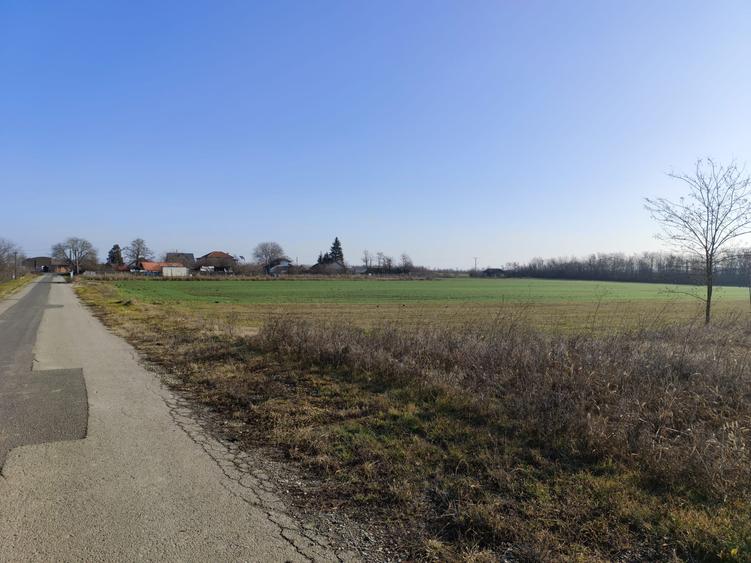 Gradistea/Zona padure