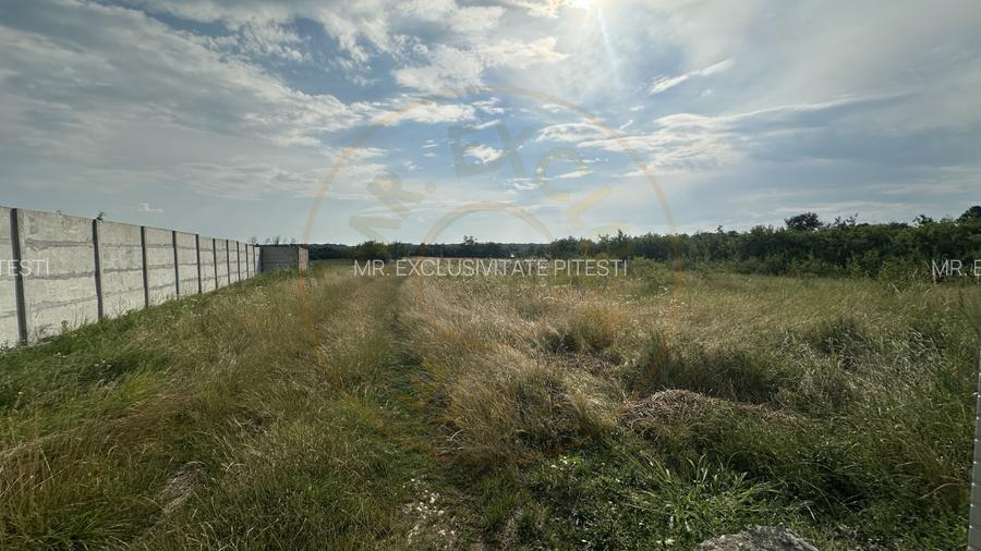 Teren 530 mp intravilan, Albota-Pitesti - 2