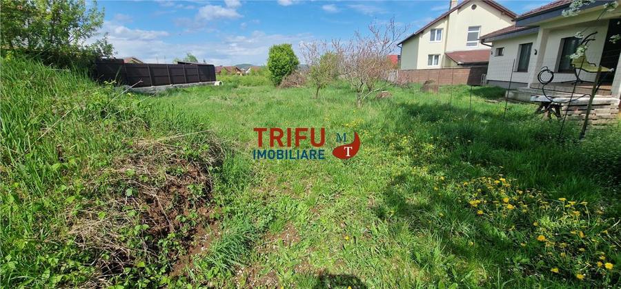 Teren de vanzare  zona Micesti