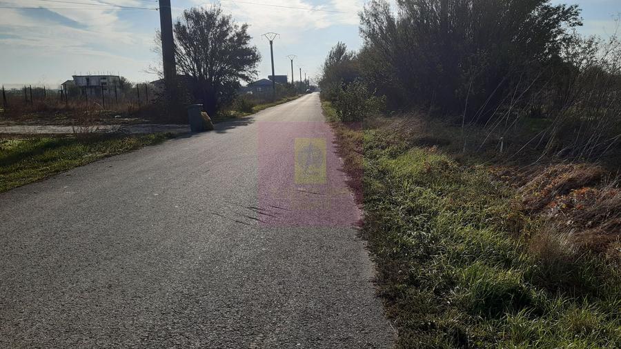 Teren la Asfalt cu utilități alături (Curent & Gaz) lângă București