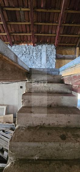 Casa cu anexe, teren 1.145 mp, de vânzare, zona Ozun - 4
