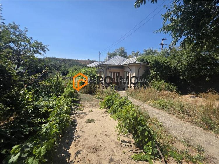 Casa tip parter zona Topliceni, Ramnicu Sarat - 13