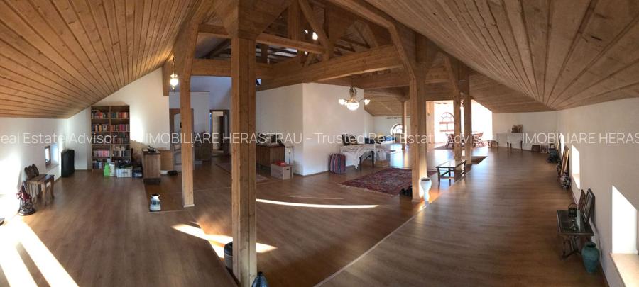 Conac neoromânesc în stil brâncovenesc | 600 mp utili | Domeniu de 2.400 mp - 16