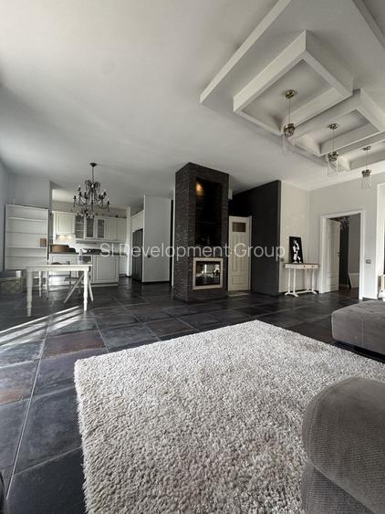 Apartament 3 camere - Iancu Nicolae 150mp + 160 mp curte - 6