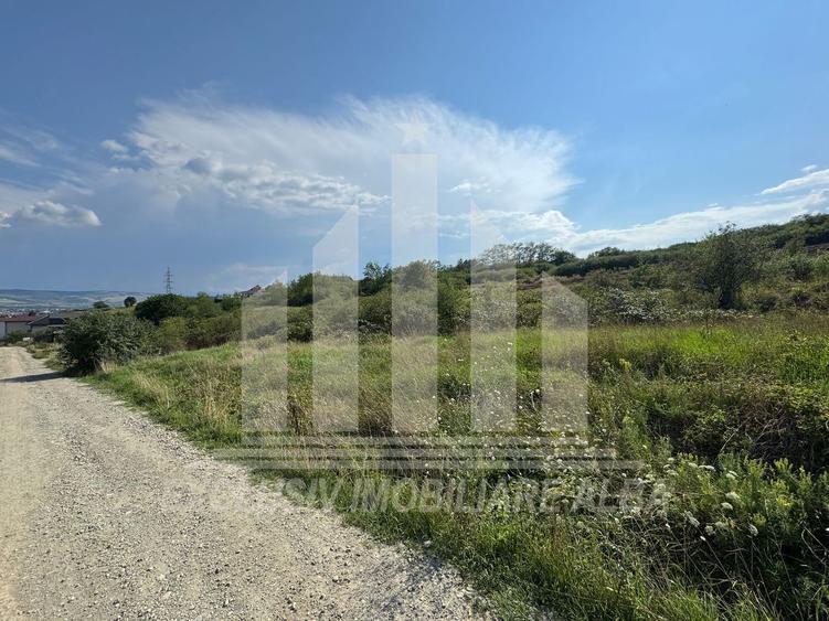 Teren intravilan | 4665 mp | 35 ml deschidere | Cetate - zona Schit