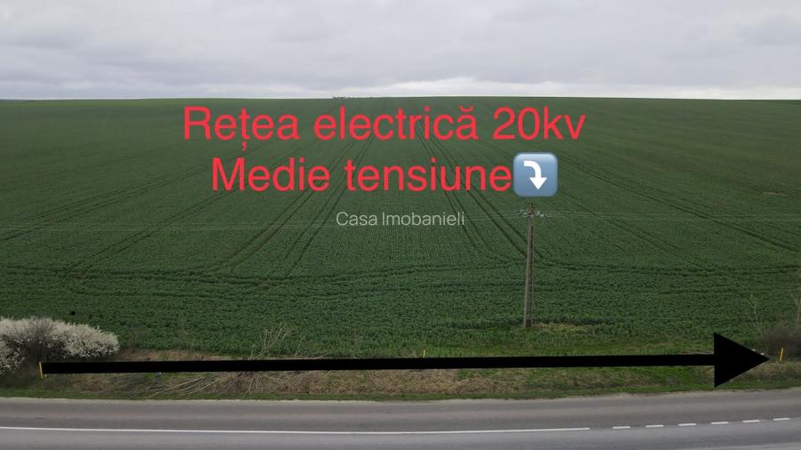Giarmata Mare ,judetul Timis/teren 3,8 ha/preț  4 euro /mp - 2