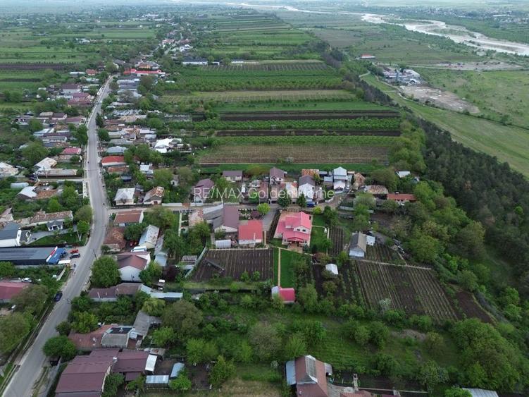 Casă cu teren Tifesti / Sarbi - 17