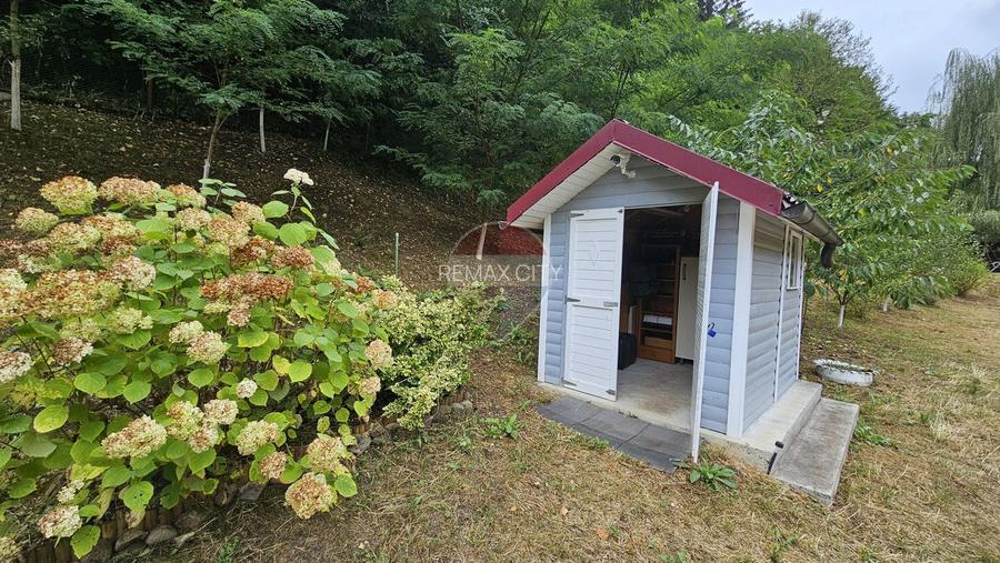 Căsuță de vacanță de vânzare – comuna Alexandru cel Bun, Neamț - 5