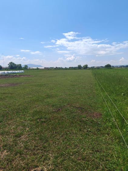 Teren Intravilan de vanzare