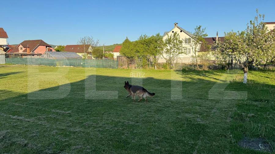 Teren intravilan de vanzare, 1500 mp - Bistrita - Parcelabil - 4