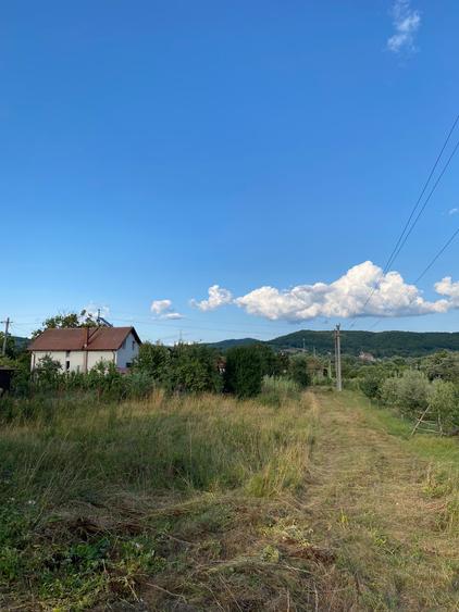 Teren intravilan în zona linistita