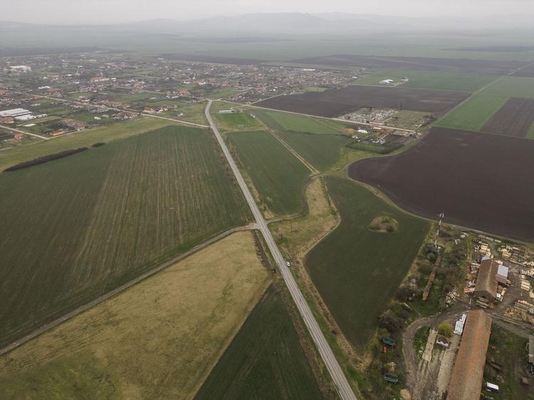 Teren 76.000mp între Sântana și Caporal Alexa