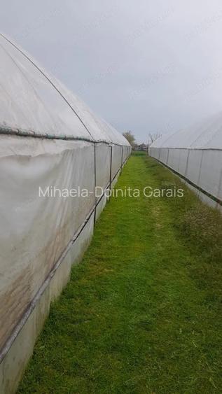 🌱 5.000 MP cu 4 SOLARII | EXPLOATAȚIE AGRICOLĂ | CĂLINEȘTI, ARGEȘ