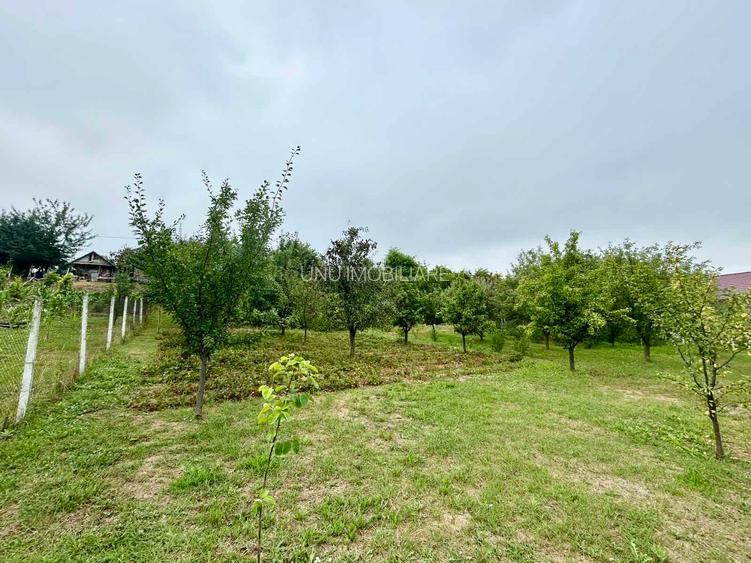 Casă P+M Chicerea Tomesti cu 2.200 mp teren, 30 ml la asfalt, livadă matură și mansardă - 12
