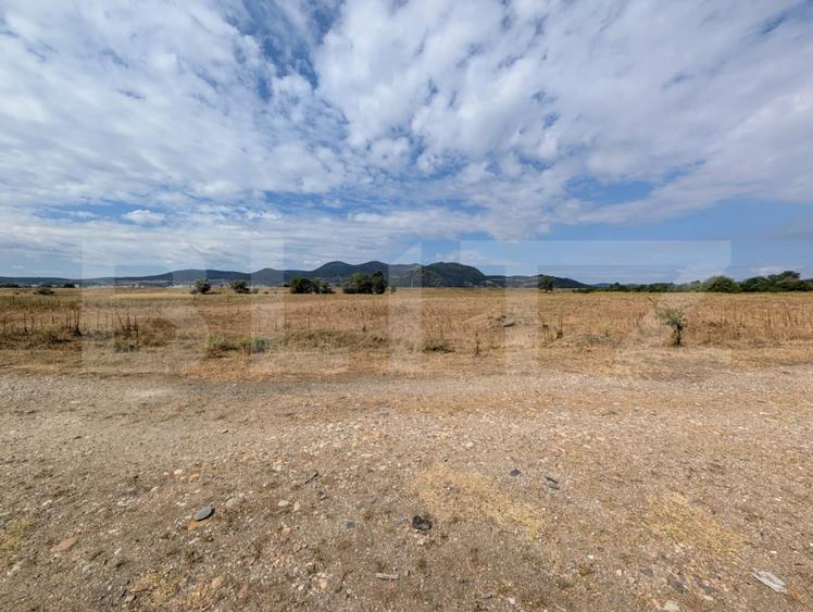 Teren extravilan, 10.000 mp, zona Mures