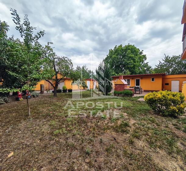 Casa individuala de vanzare cu 11 camere, an 2000, Lipovei, Timisoara - 9