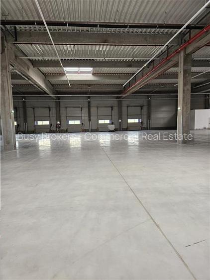 Spatiu Industrial - 3700 mp - Logistica - Productie - Depozitare - Distributie - 5