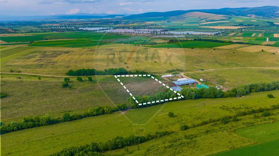 Oportunitate pentru fermieri: 10.800 mp teren arabil în Rotbav, Brașov