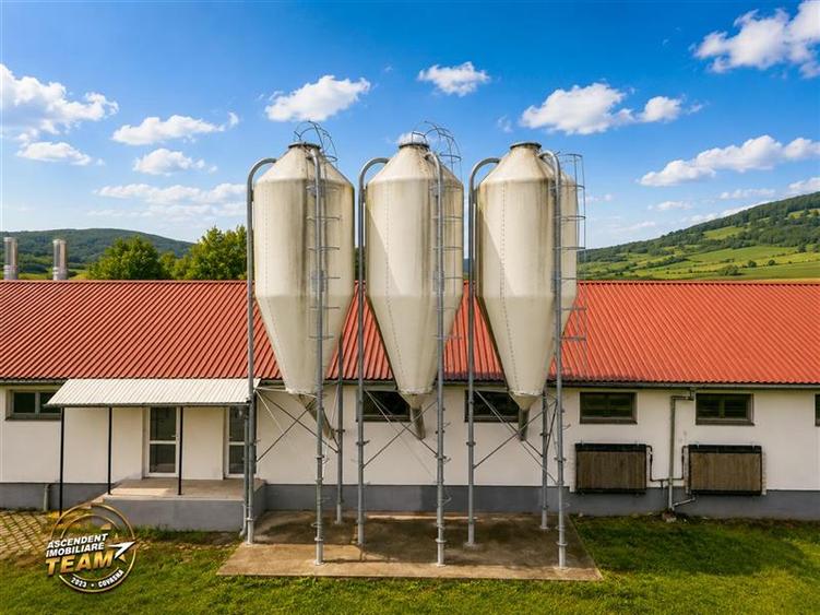 FILM! Ferma de iepuri,Malnas,Covasna: domeniu:comercial/industrial,asset UE