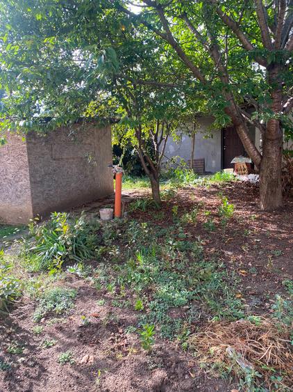 Casa batraneasca demolabila zona KM5