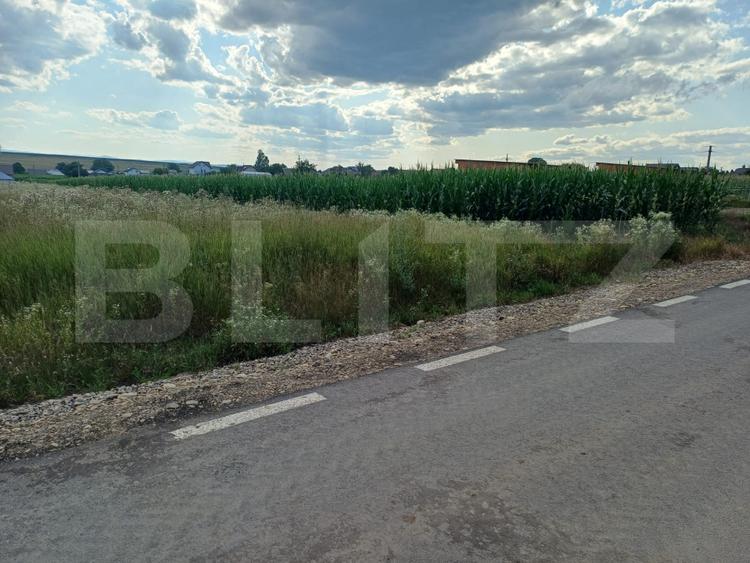 Teren de vânzare, intravilan, 32 ari, Moara Nica