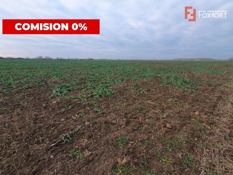 COMISION 0% Teren extravilan 20.000 mp la sosea in Sag