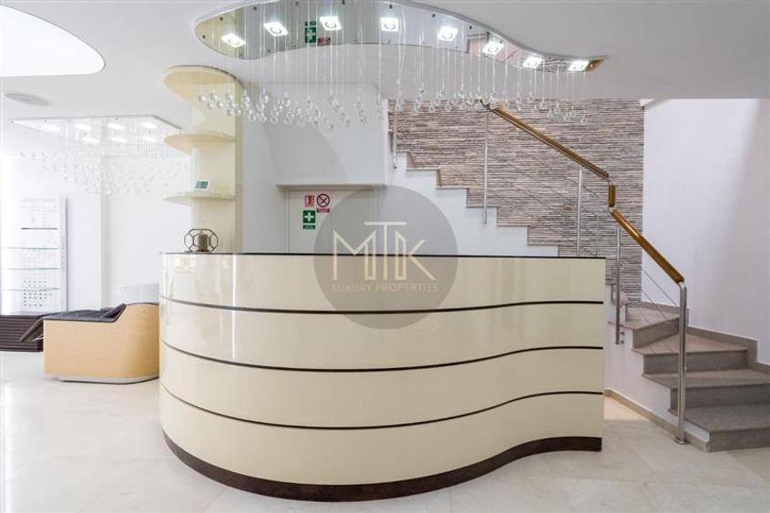 Proprietate premium cu curte – ideala pentru business-uri | LACUL TEI