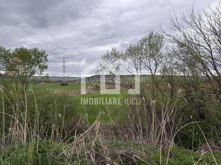 Teren intravilan – 1.738 mp | Jucu de Sus, zona Moliturii, front 23 - 6