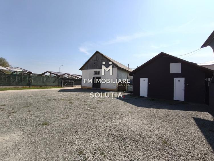 Complex industrial cu teren 18,672 mp Târgu Lăpuș