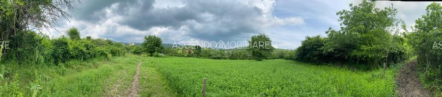 Domeniu 15.900 mp în Fințești | Casă + Investiție Dealu Mare - 9