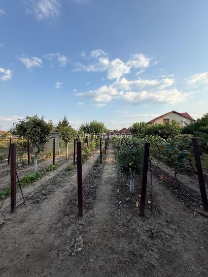 Casă 153 mp + teren 1.419 mp | Complet mobilată | Vânători, Vrancea - 16