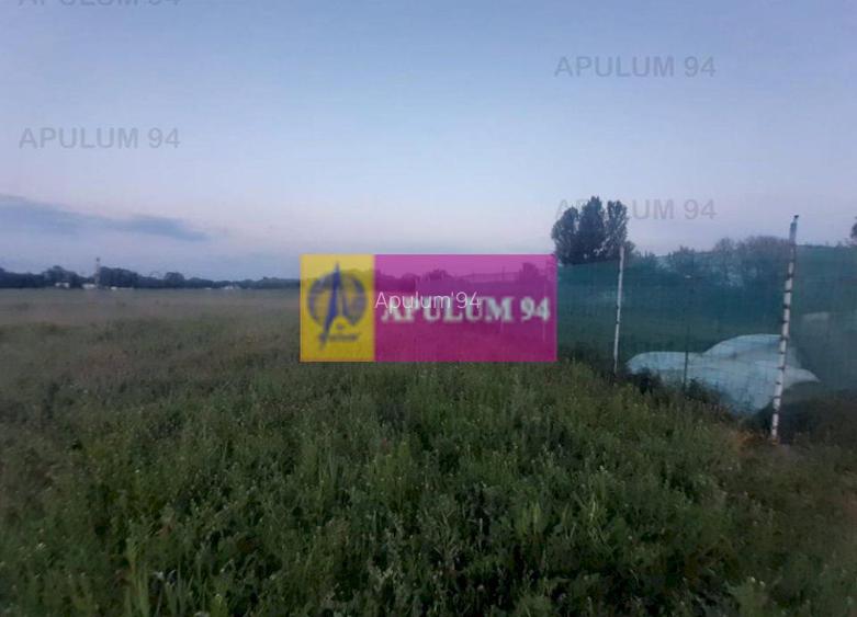 Teren aproape de Bucuresti langa padure - 7