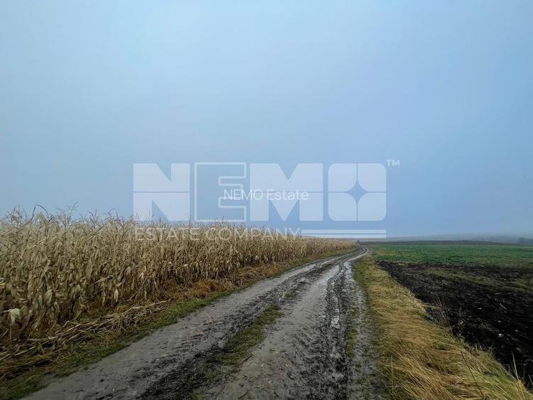 TEREN EXTRAVILAN | DOUA PARCELE 2.84 HA| DARMANESTI - 8