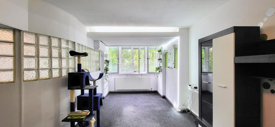 Dristor - 2 camere cu centrala la doua minute de metrou - pet friendly - 12
