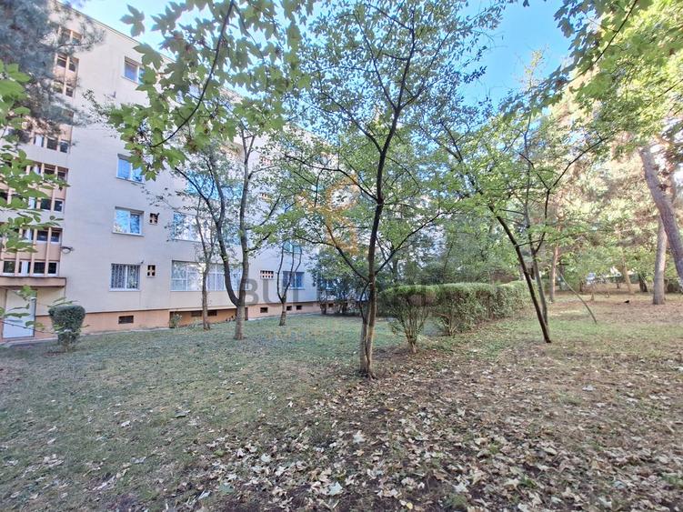 Apartament 2 camere de inchiriat, strada Constantin Brancusi!