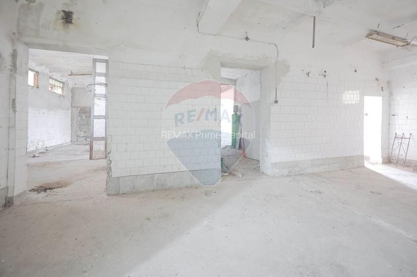 Teren 7500mp și construcții de vânzare, Tilecuș - 15