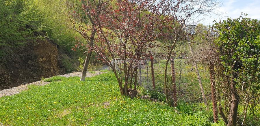 Vand  casa cu gradina - 2