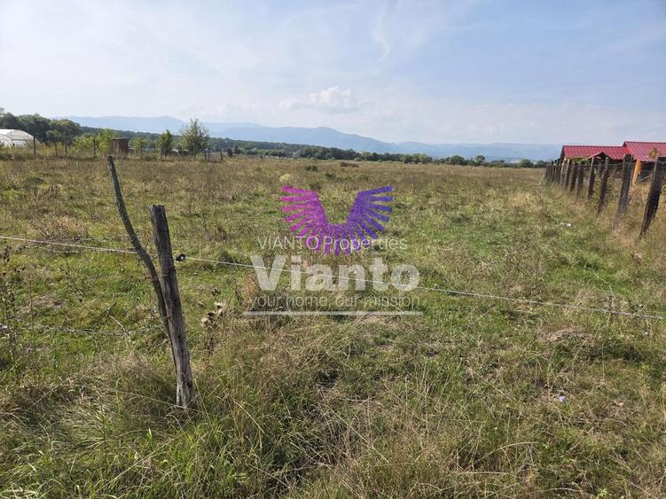 Teren extravilan 1500 mp Selimbar-langa troita - 2