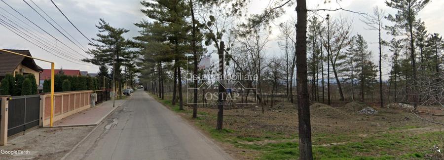Gheraiesti-str. Lunca Bistritei-la asfalt-1.500 mp-intravilan-curti constructii - 9