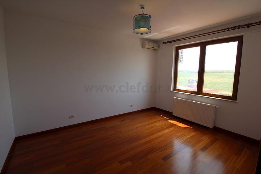 Vila renovata in apropiere de Iancu Nicolae