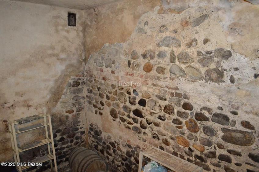 Curtea de Arges - Ultracentral - Casa autentica 180 mp, Teren 1336 mp - 19