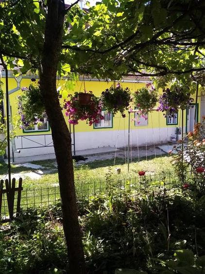 Apartament 2 camere la casa pivnita teren Zona Cibin