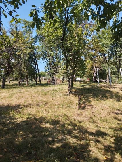 Teren intravilan 2828 mp+autorizatie casa-anexe-livada-Dorolea